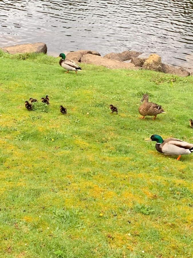 The Monarch Lodge ,Aviemore Holiday Park 外观 照片